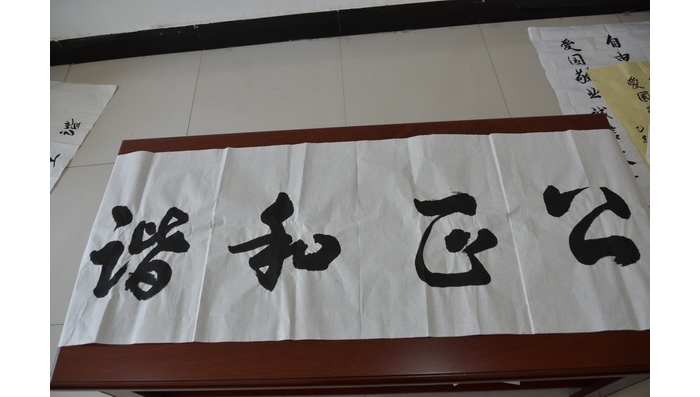 我縣鄉(xiāng)村學(xué)校少年宮團(tuán)隊活動成果顯著
