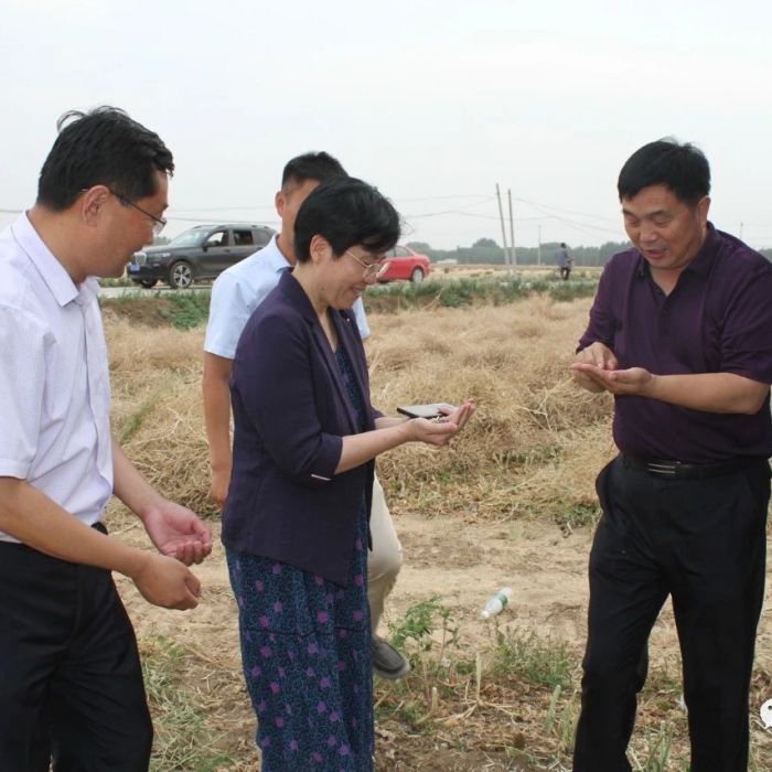 縣委書記李志紅到部分鎮(zhèn)街督導檢查“三夏”生產(chǎn)、秸稈禁燒和鄉(xiāng)村振興工作